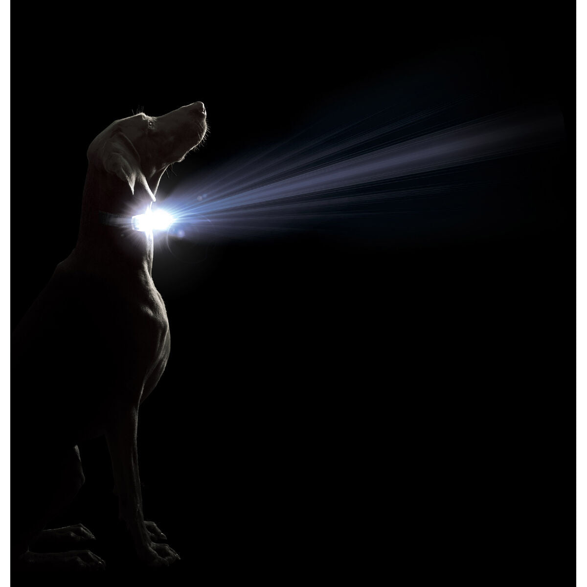 V3HC9585762453DD8FE2D84C7CCFBACDF46R5554899P2