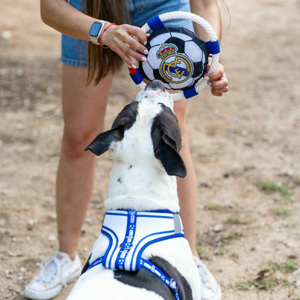 V2HF060AF440EEF430ED6DBA4AC614041DDR7021654P3