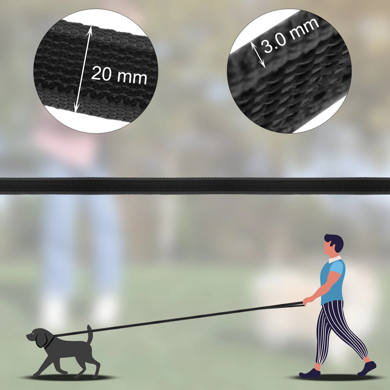 Laisse pour chien de taille moyenne