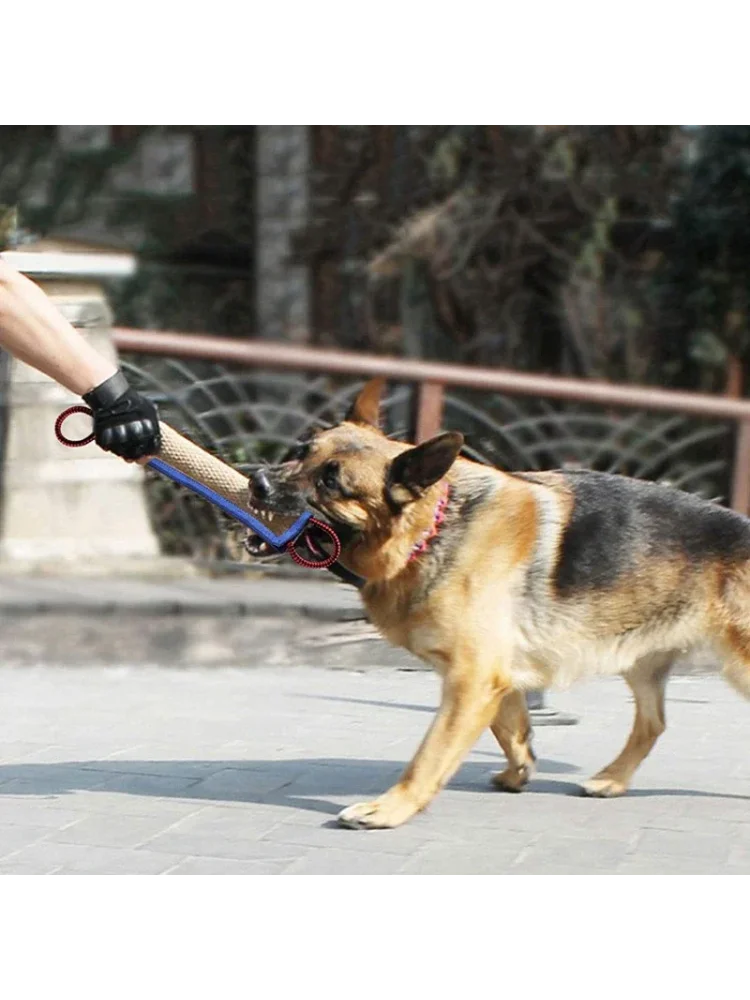 Bâtonnets à mâcher pour chiens