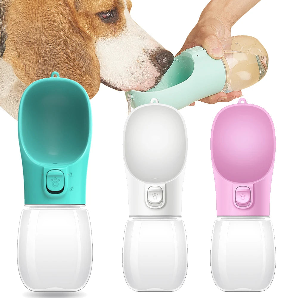 Bouteille d'eau portable pour chiens de petite et grande taille