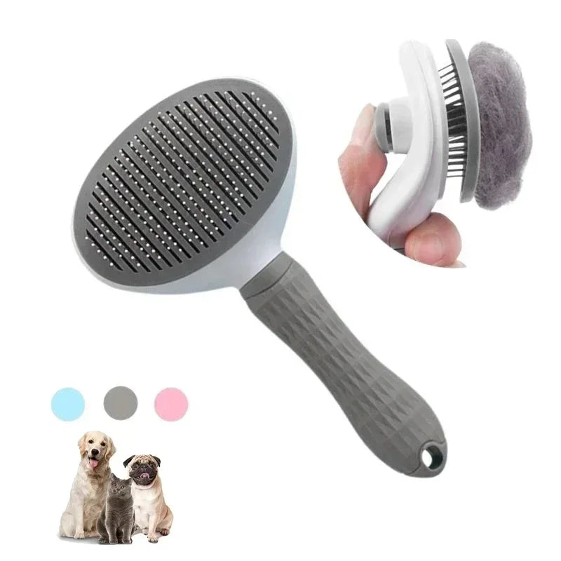 Brosse pour chat, peigne pour chien, toilettage et entretien