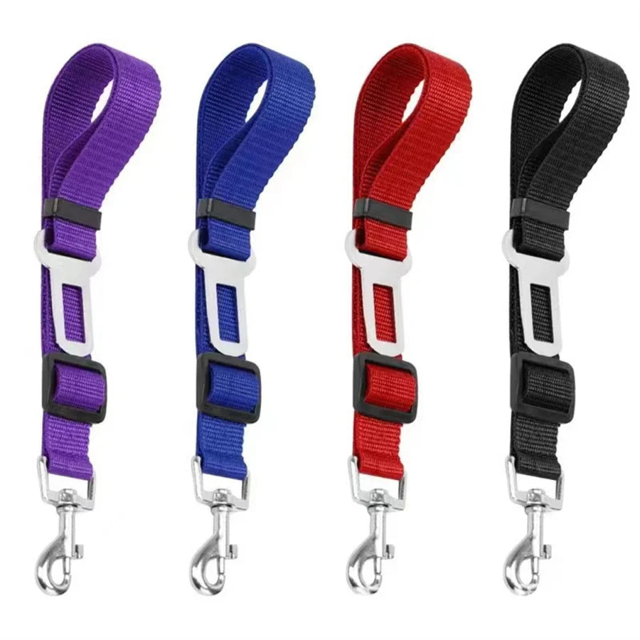 Ceinture de sécurité pour chien ou chat