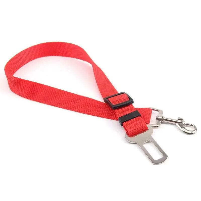 Ceinture de sécurité pour chien ou chat