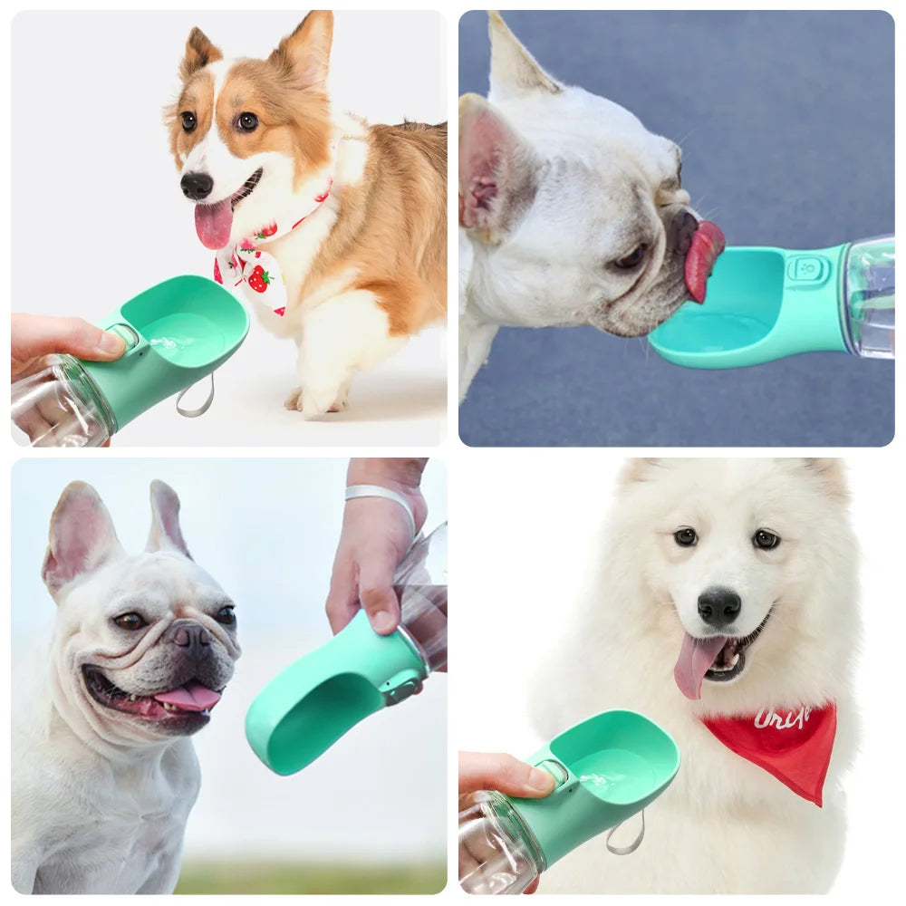 Bouteille d'eau portable pour chiens de petite et grande taille