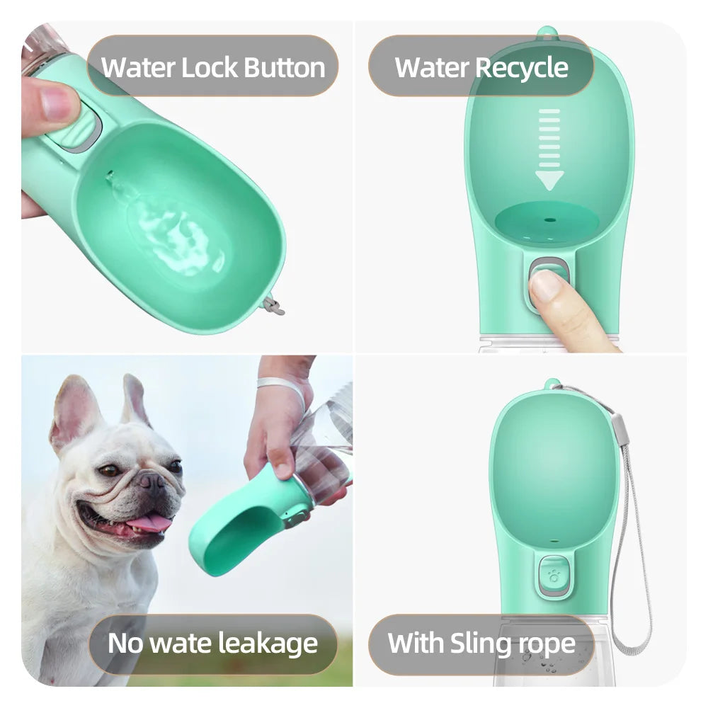 Bouteille d'eau portable pour chiens de petite et grande taille