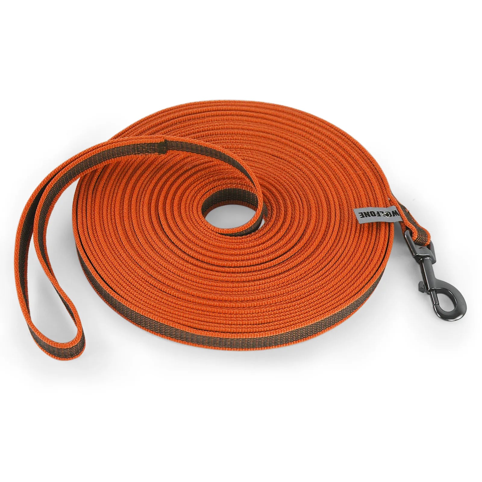 Laisse pour chien de taille moyenne