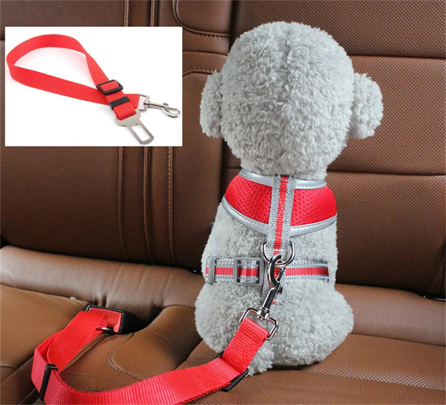 Ceinture de sécurité pour chien ou chat