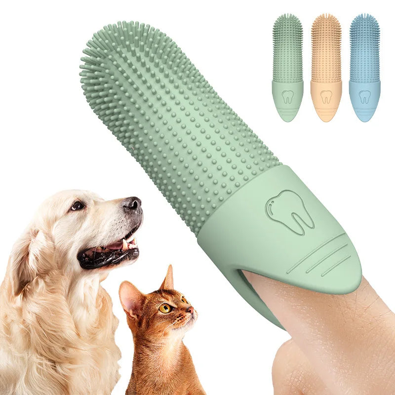 Brosse à dents pour chien