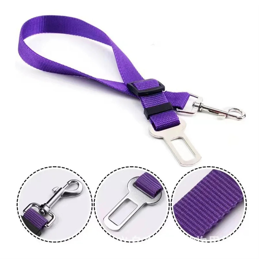 Ceinture de sécurité pour chien ou chat
