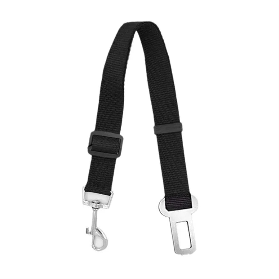 Ceinture de sécurité pour chien ou chat