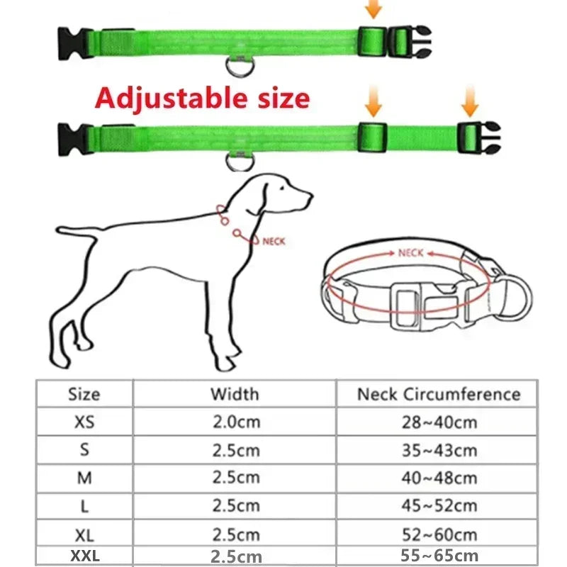 Collier lumineux LED pour chien, réglable et rechargeable