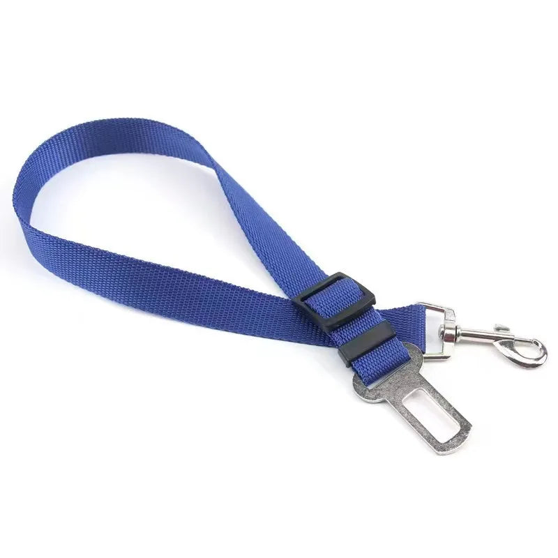 Ceinture de sécurité pour chien ou chat