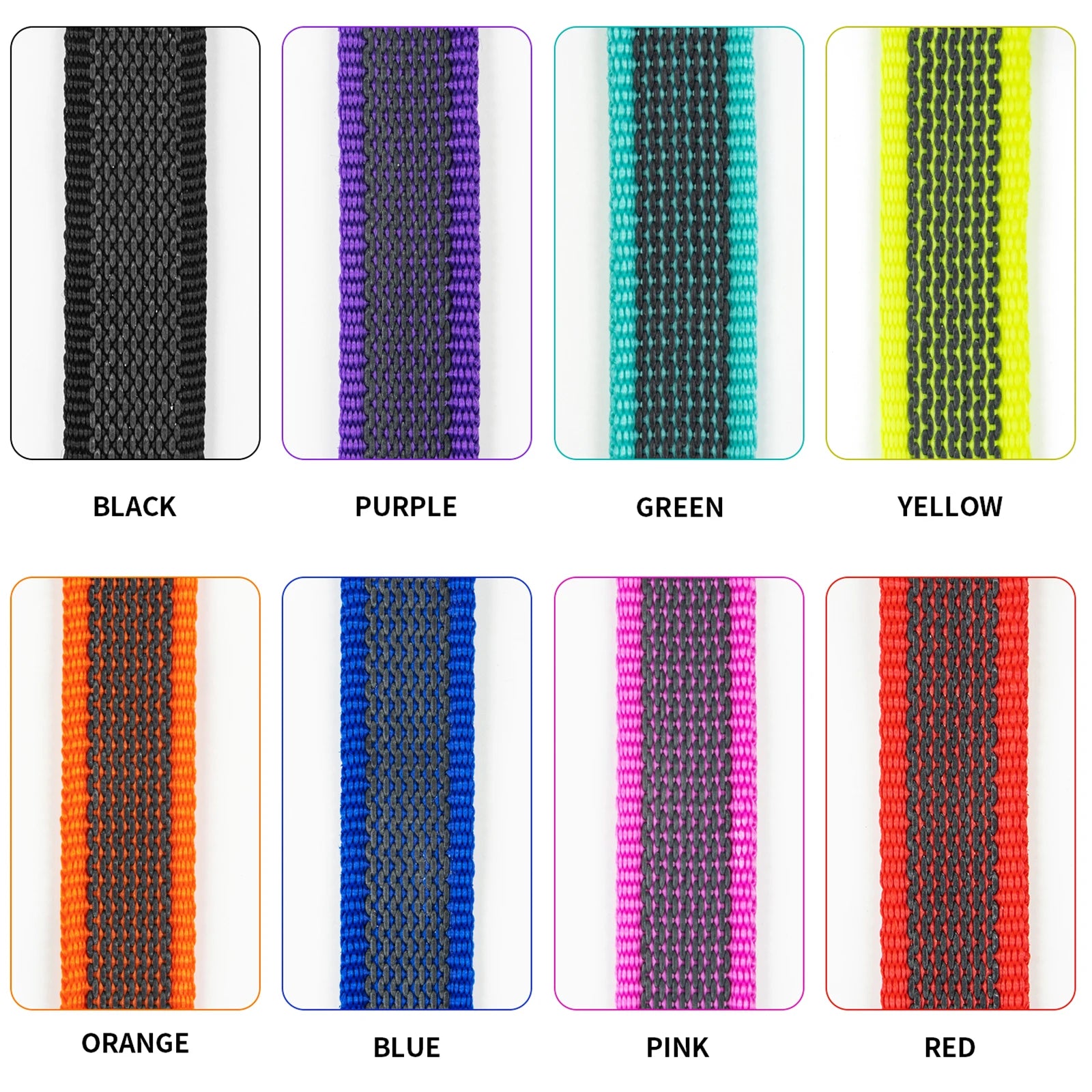 Laisse pour chien de taille moyenne