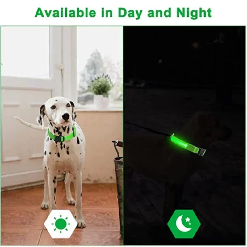 Collier lumineux LED pour chien, réglable et rechargeable