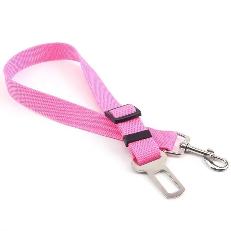 Ceinture de sécurité pour chien ou chat