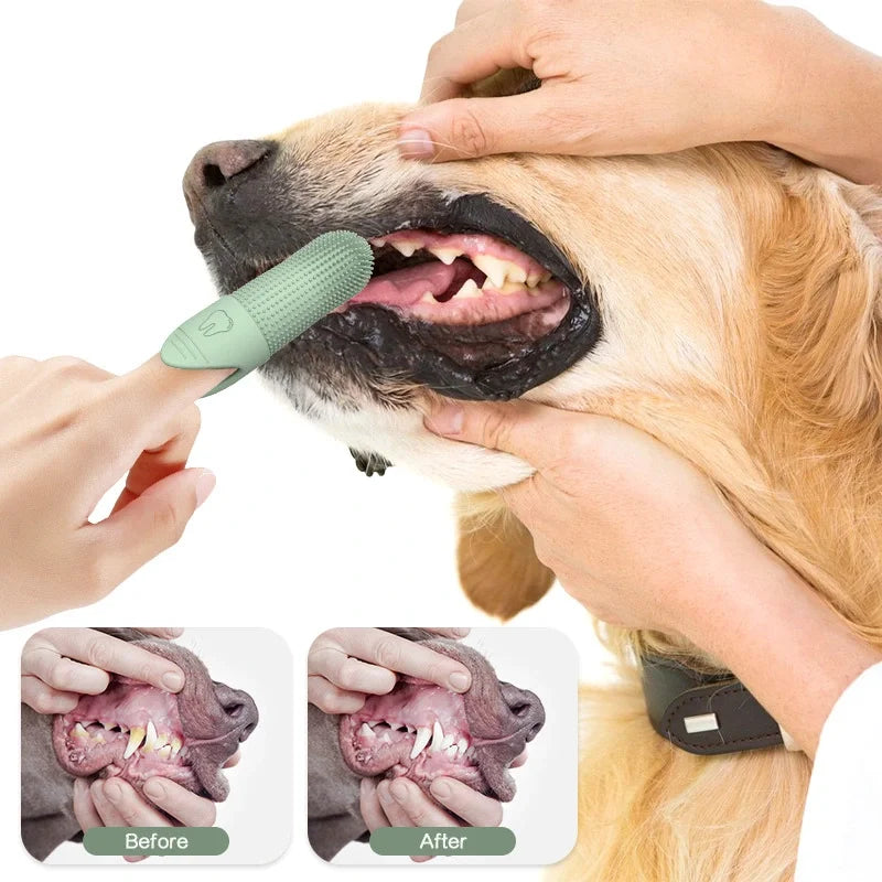 Brosse à dents pour chien