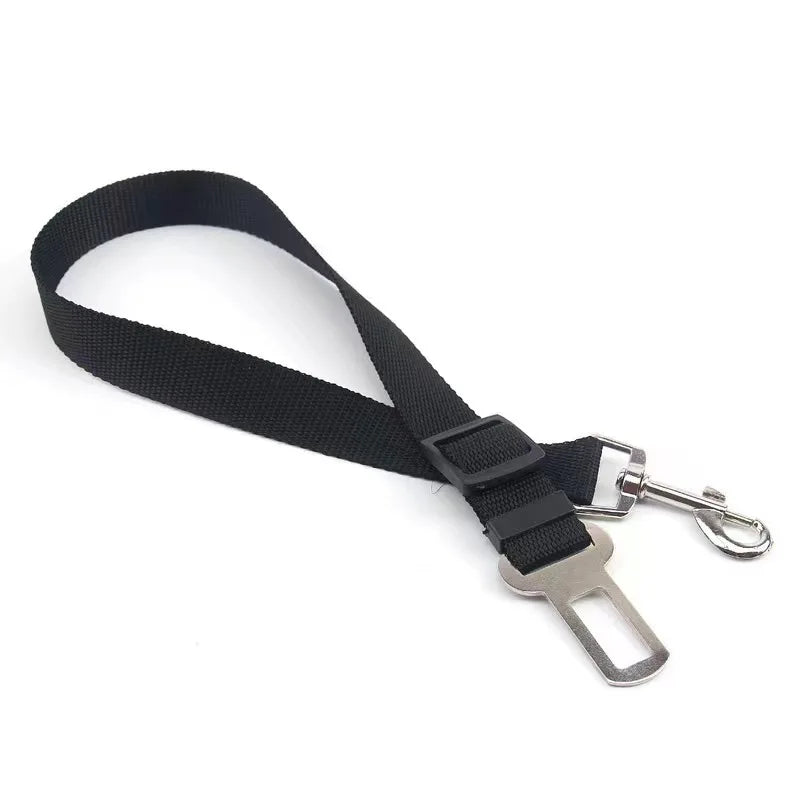 Ceinture de sécurité pour chien ou chat